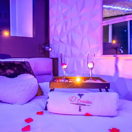 Jungle Ou Dark Desir Room- 2 Rooms, 2 Experiences, A Vous De Choisir ! Διαμέρισμα La Flèche